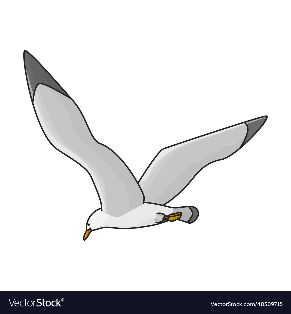 Bird gull iconcolor icon isolated Royalty Free Vector Image