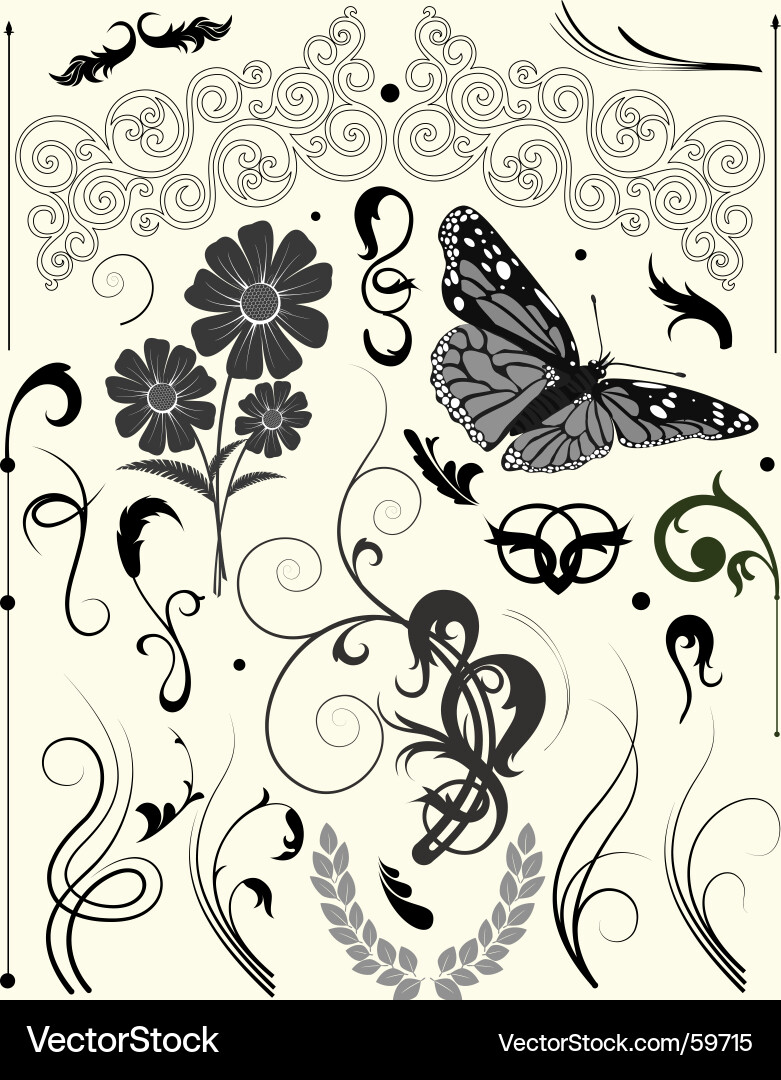 Floral elements collection Royalty Free Vector Image