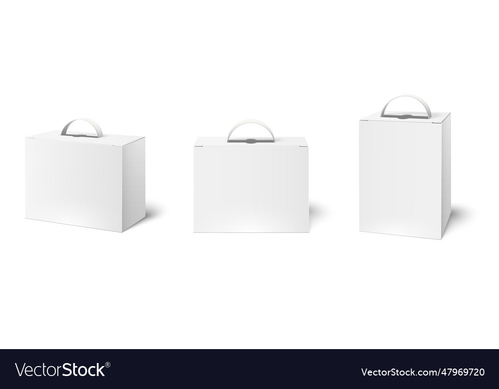 Box case with handle package boxes mockup blank