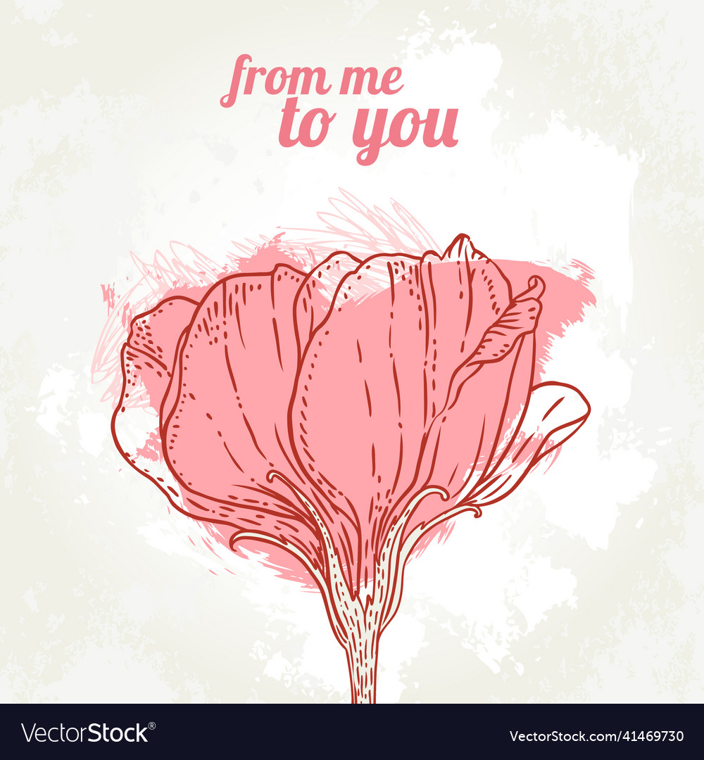 Print vector image Print