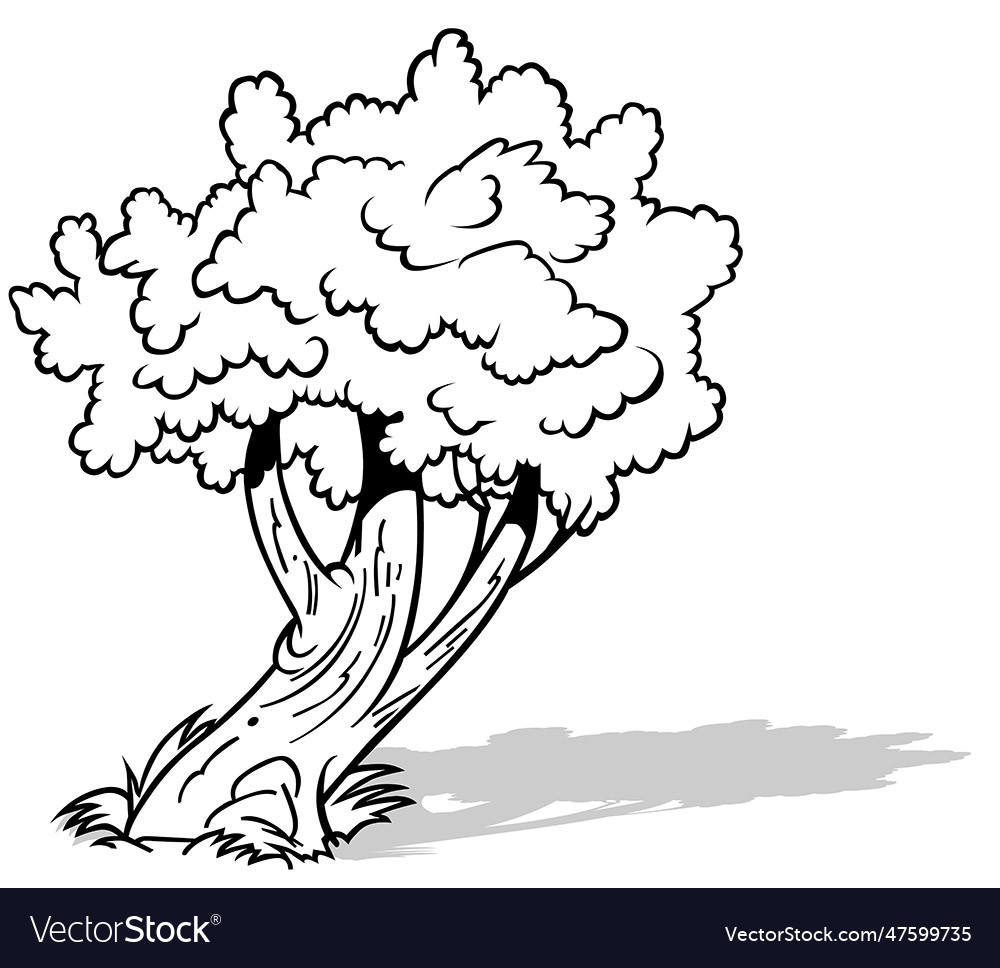 Drawing of an inclined deciduous tree