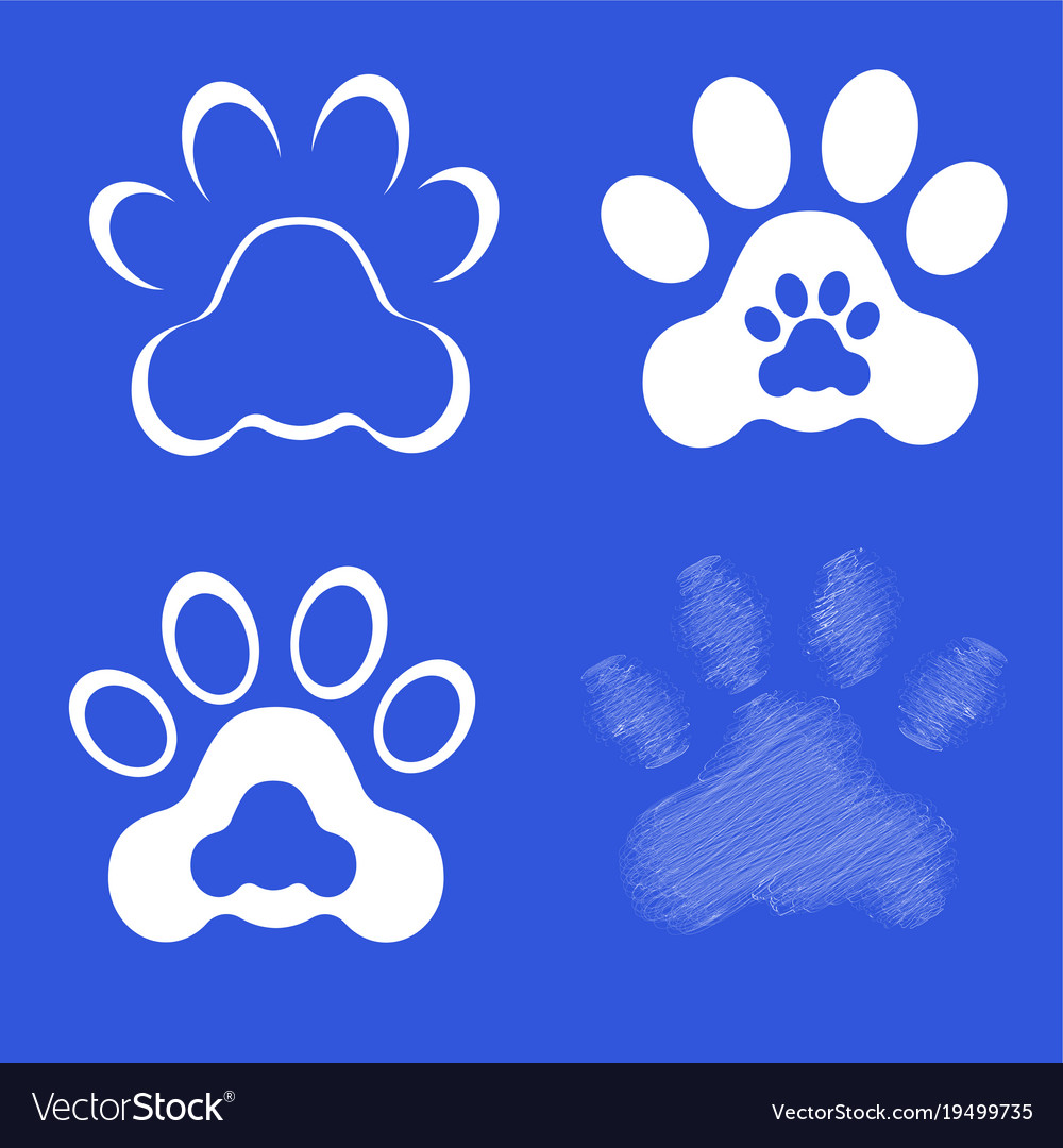 Footprints of dog paws