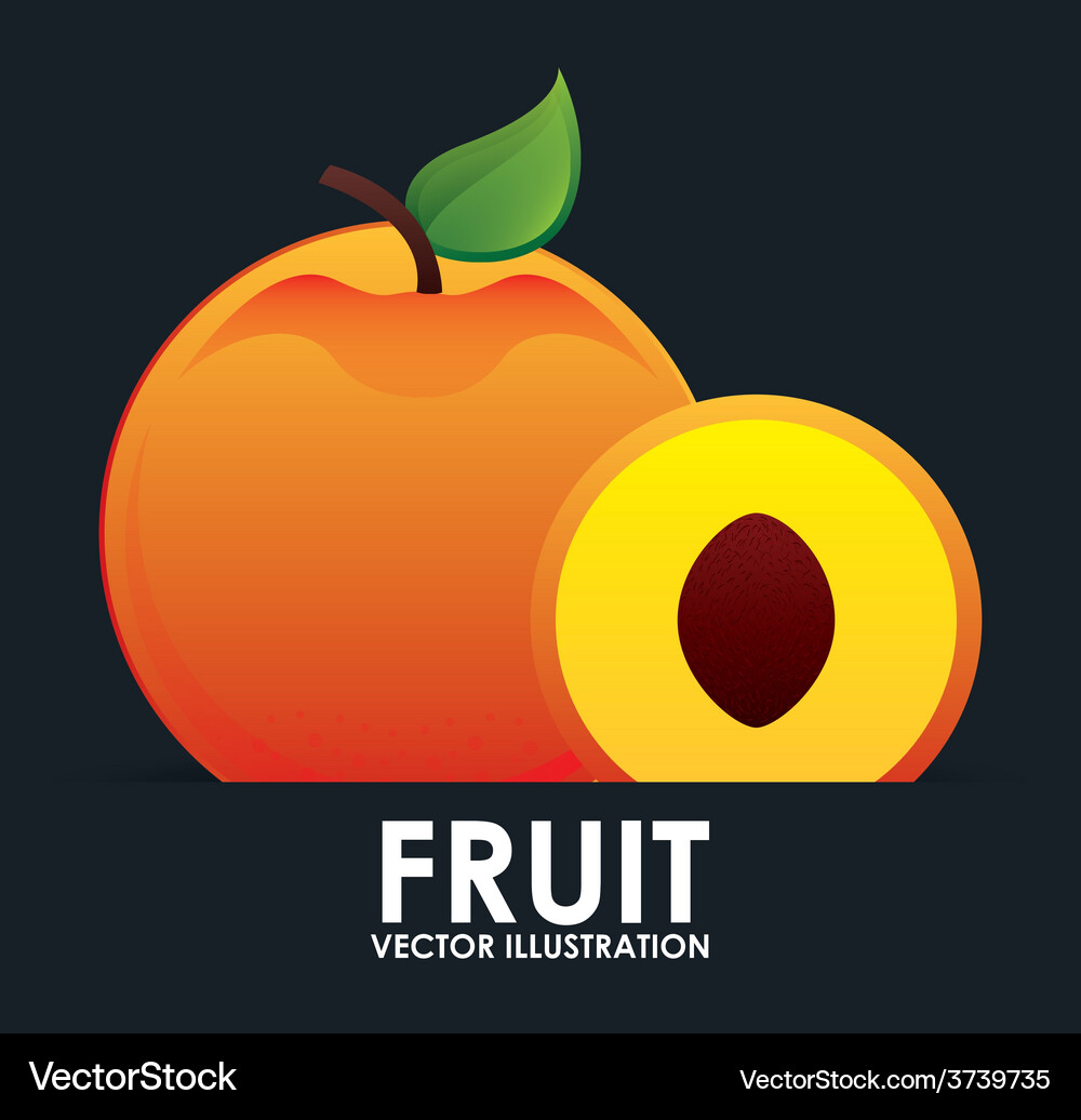 Fruit icon Royalty Free Vector Image - VectorStock