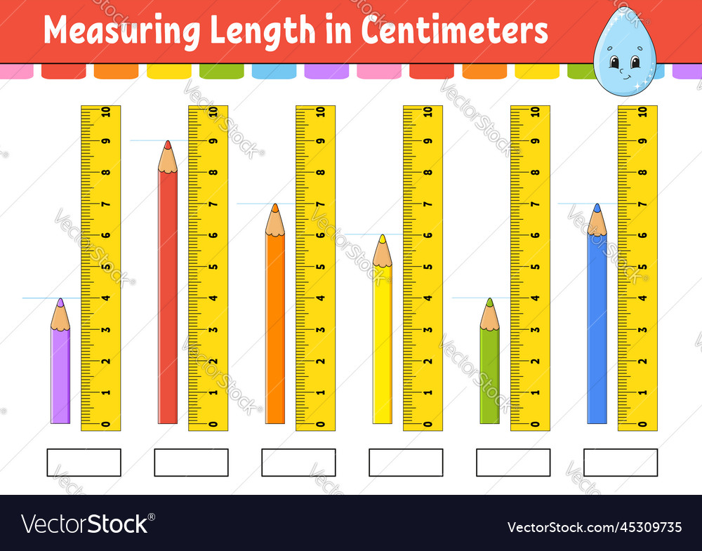 Measuring length in centimeter with ruler vector image Measuring length in centimeter with ruler