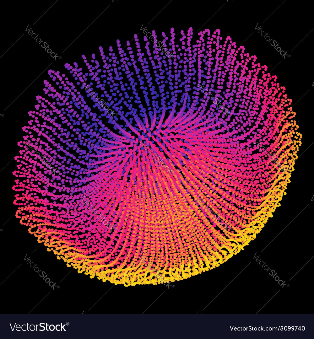 Complex Network Structure