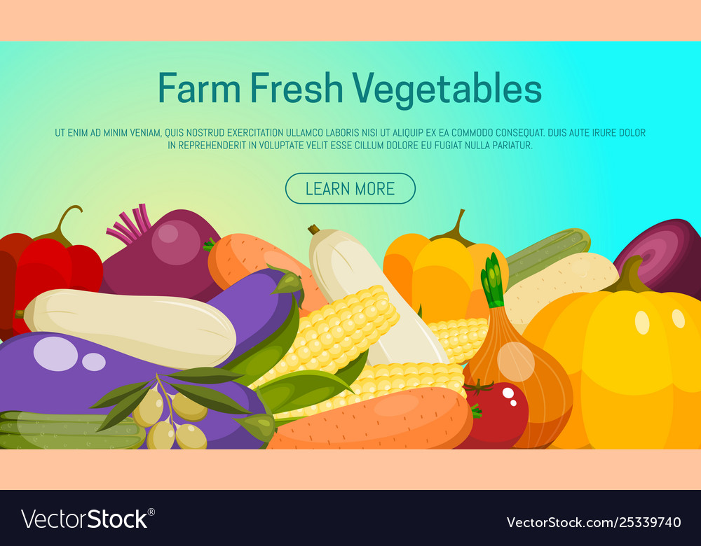 Farm fresh vegetables banner Royalty Free Vector Image