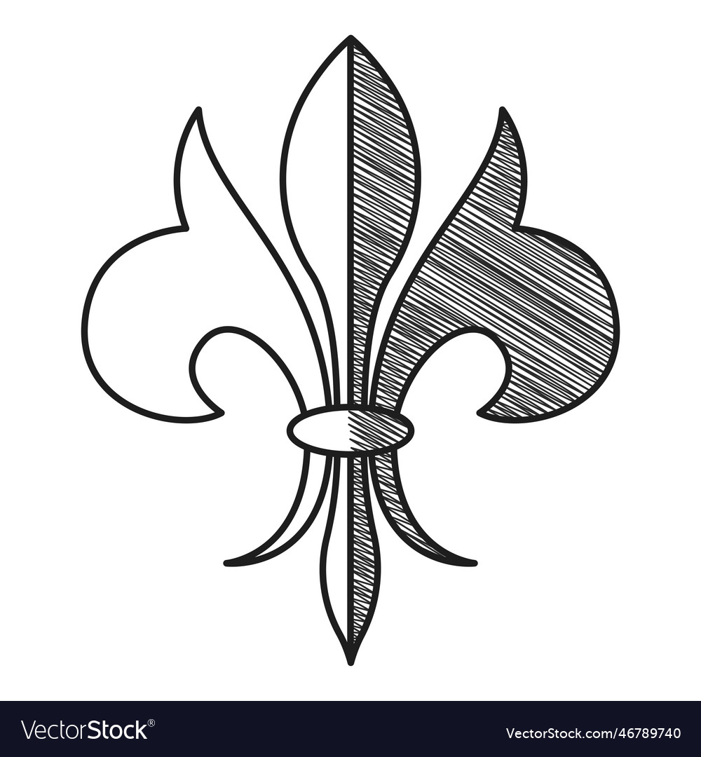 Isolated lys flower symbol sketch icon