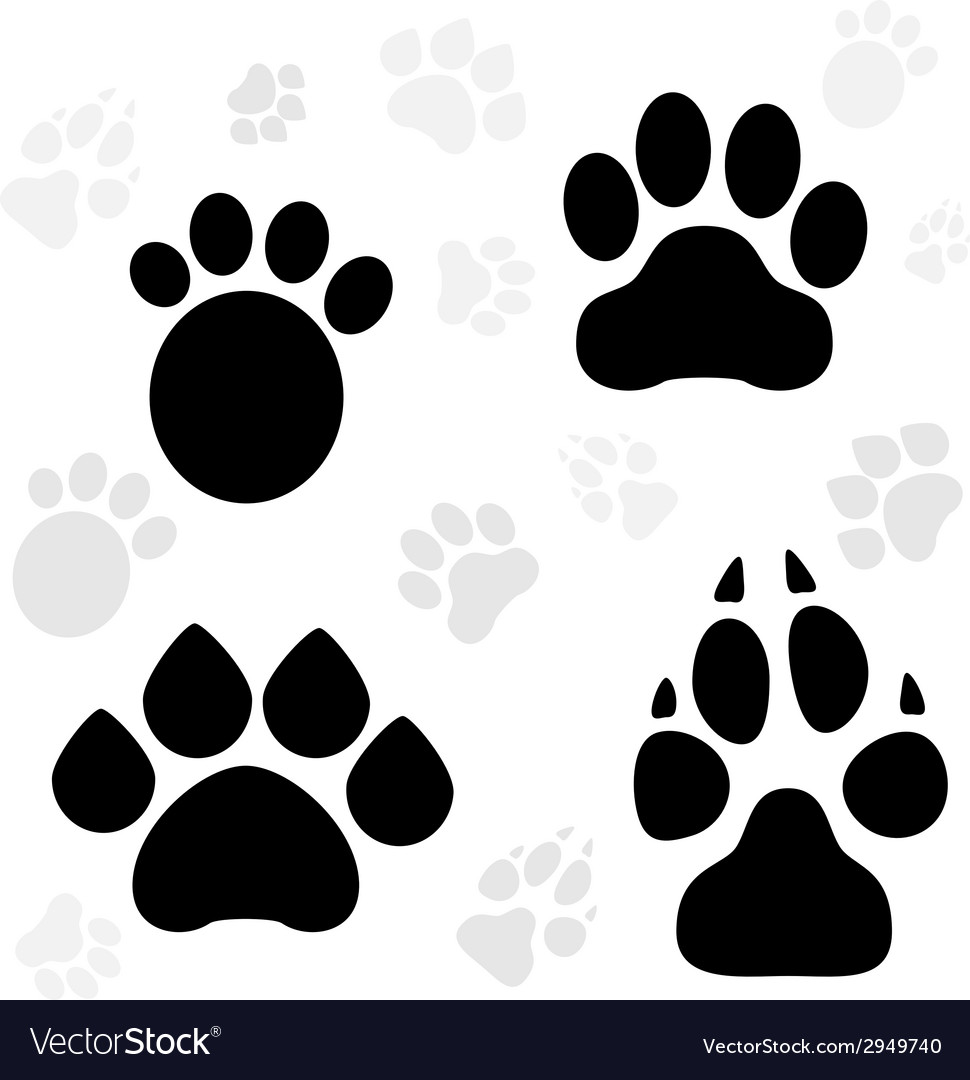 paws