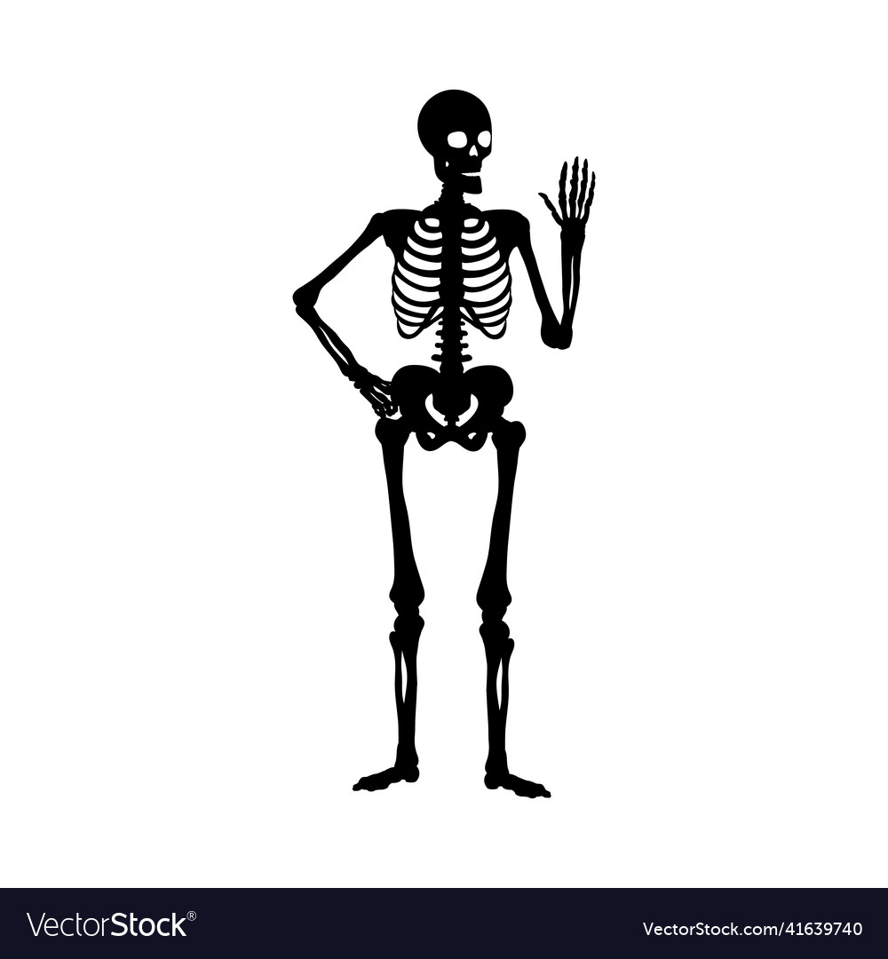 Silhouette human skeleton greeting symbol Vector Image