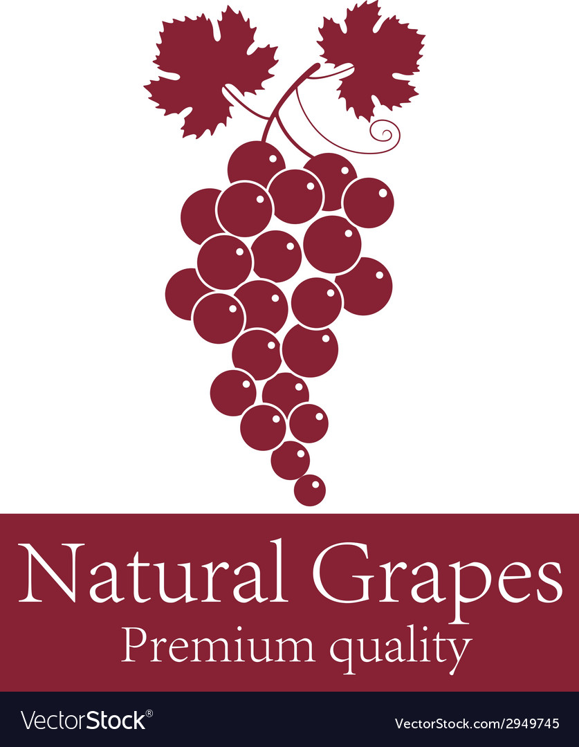 Grapes Royalty Free Vector Image - Vectorstock