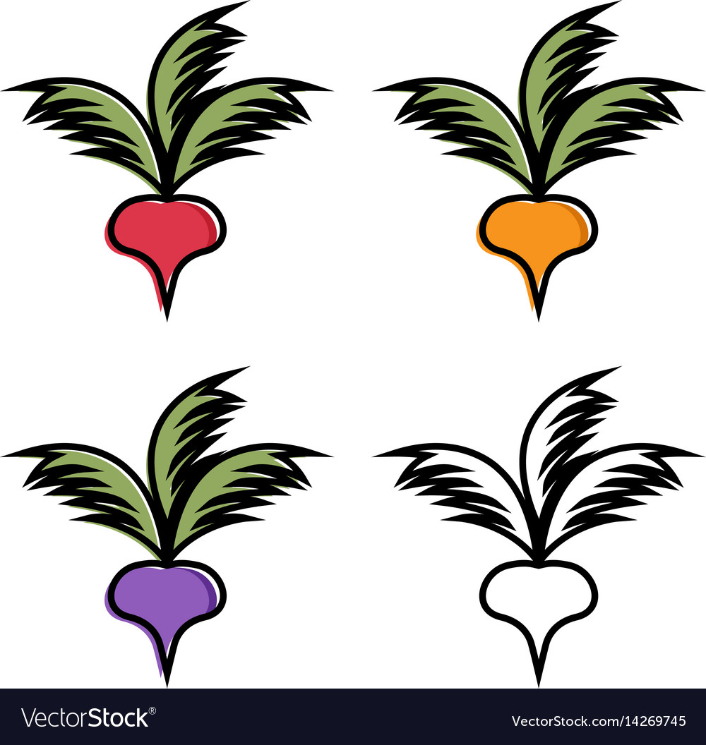 Isolated Radish Set - Simple Design