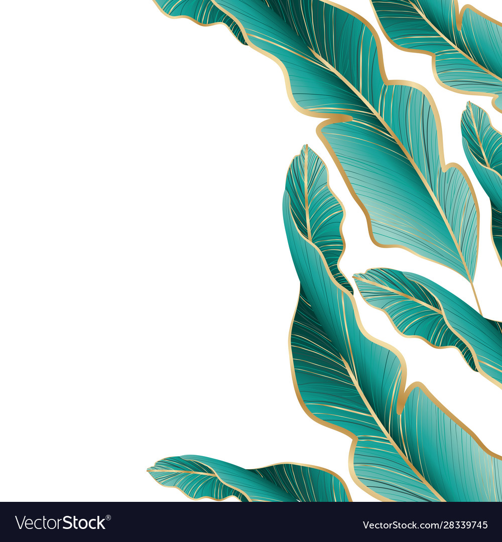 Isolated tropical green leaves design