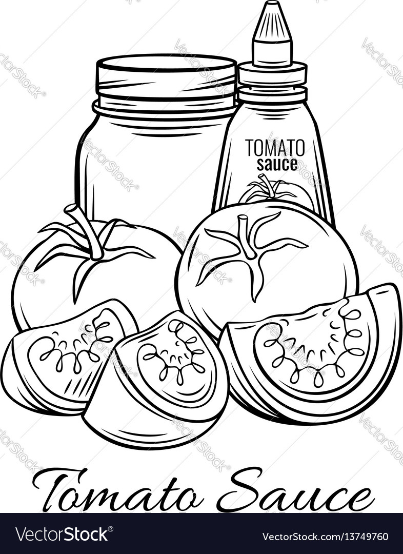 Hand drawn tomato sauce Royalty Free Vector Image