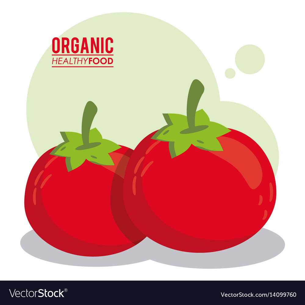 Organic healthy food tomato fresh