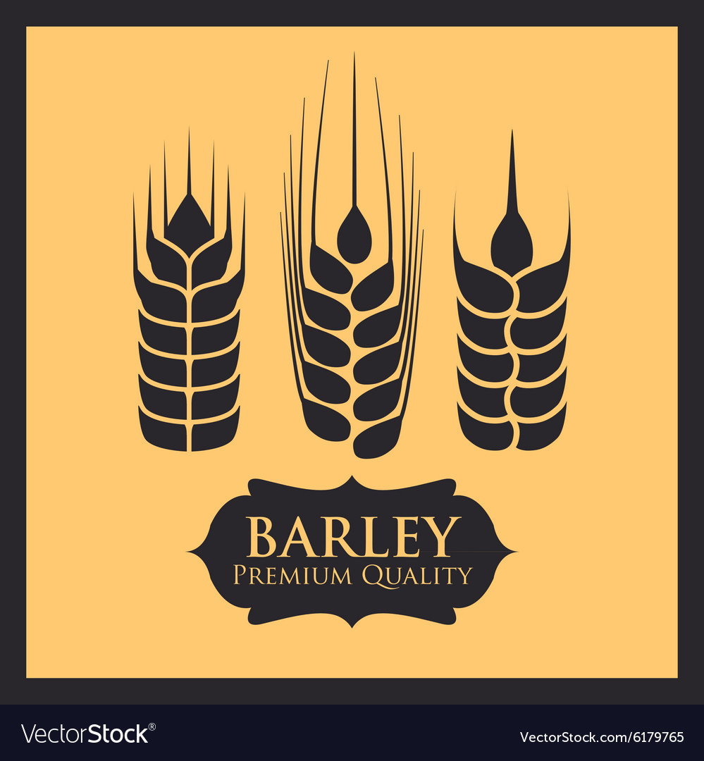 Barley design