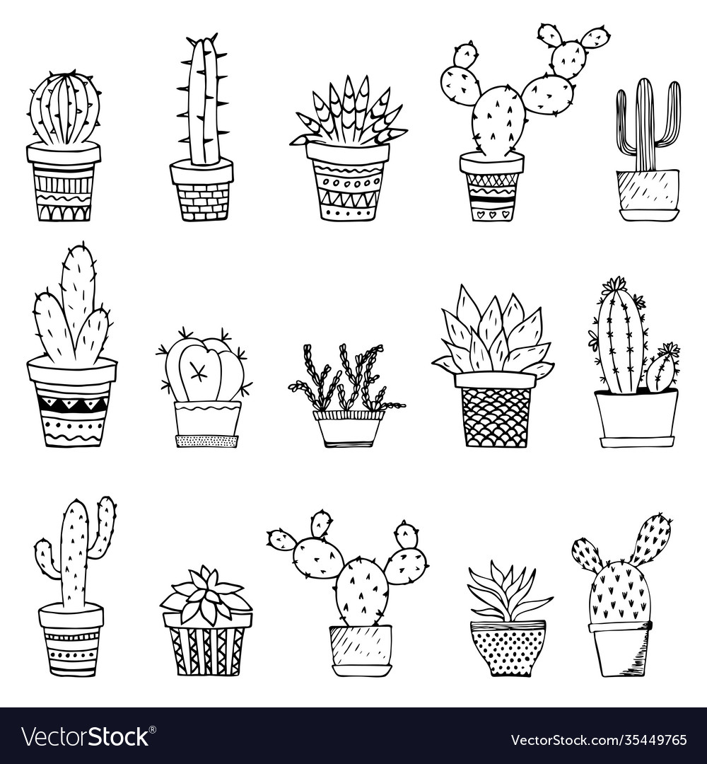 Cacti and succulents doodles home plants in pots