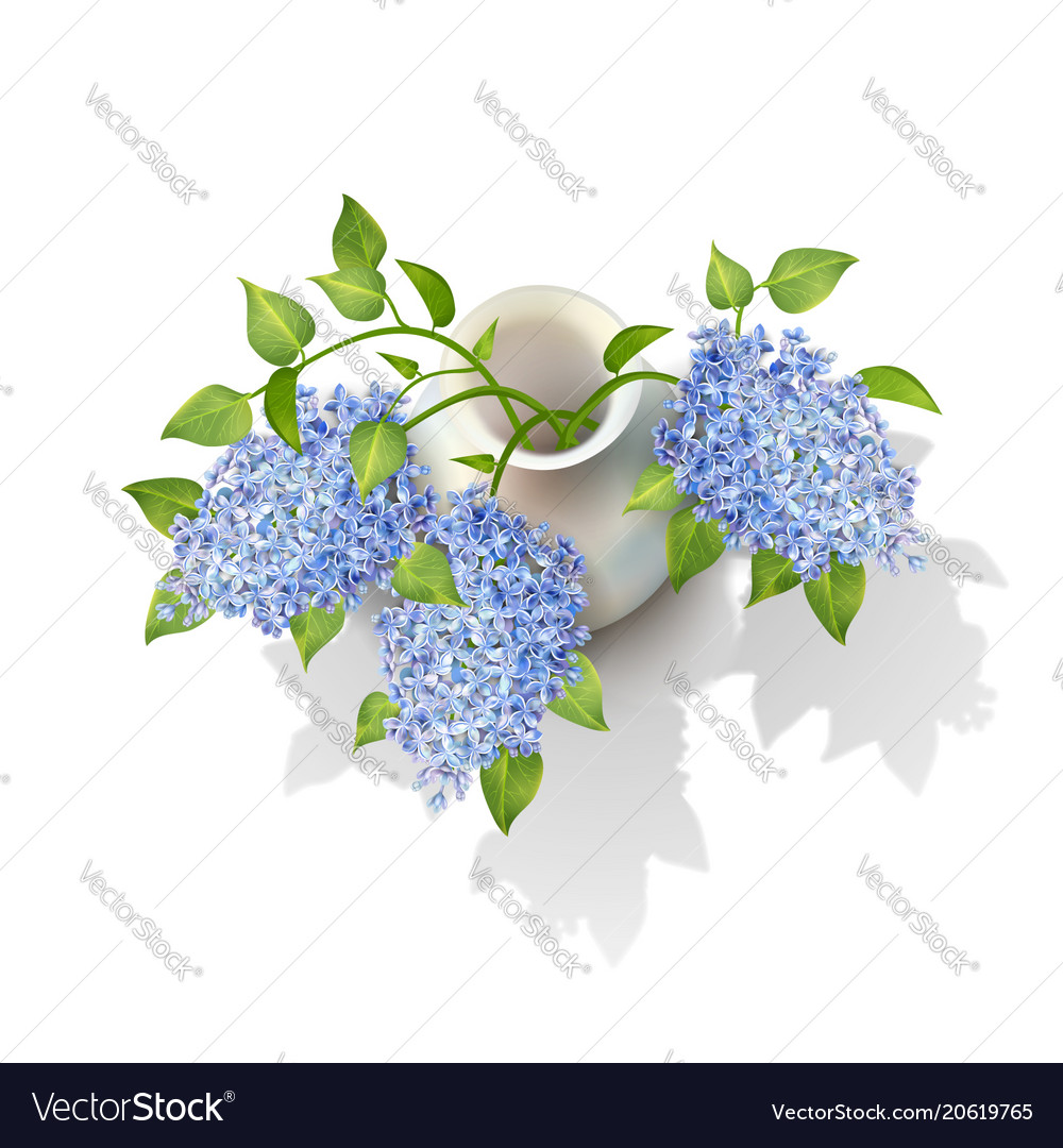 Lilacs in vase