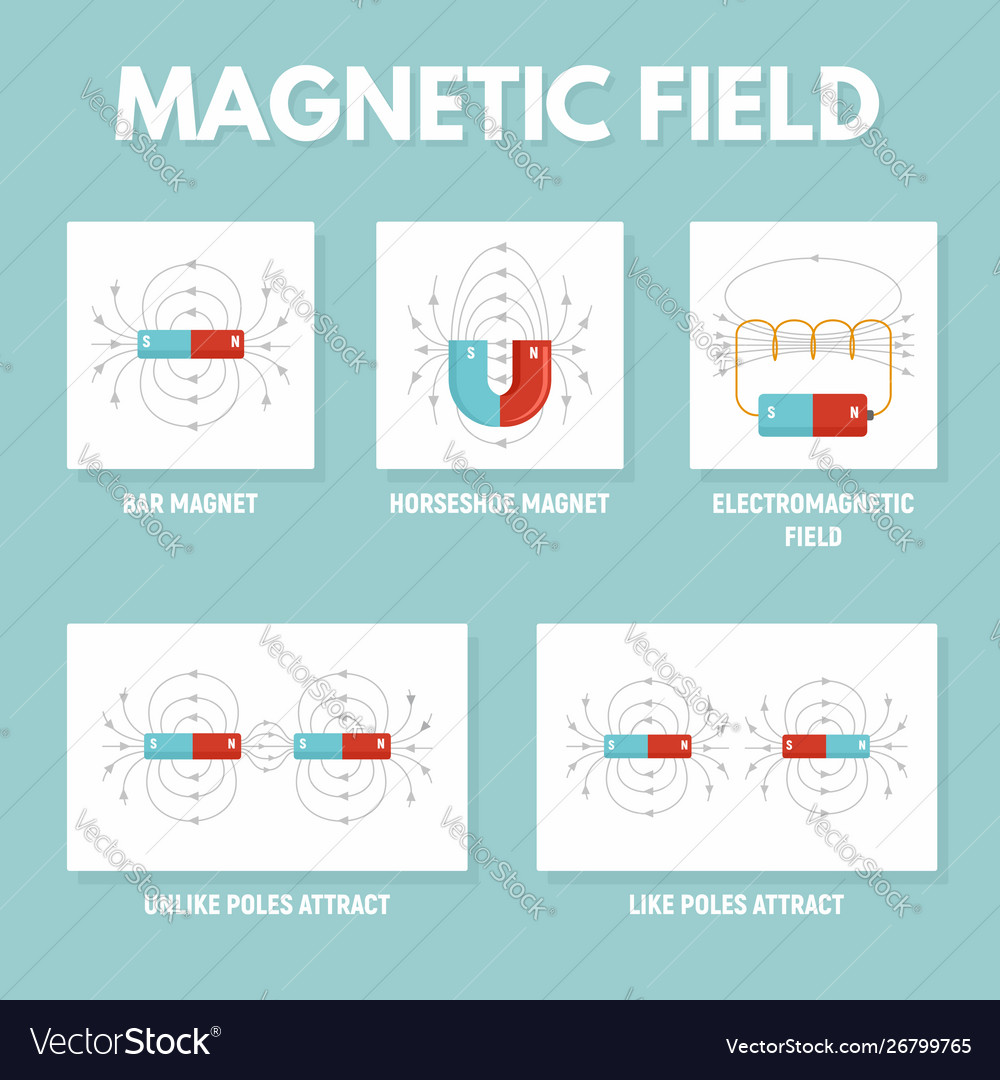 Magnetism Infographic | atelier-yuwa.ciao.jp