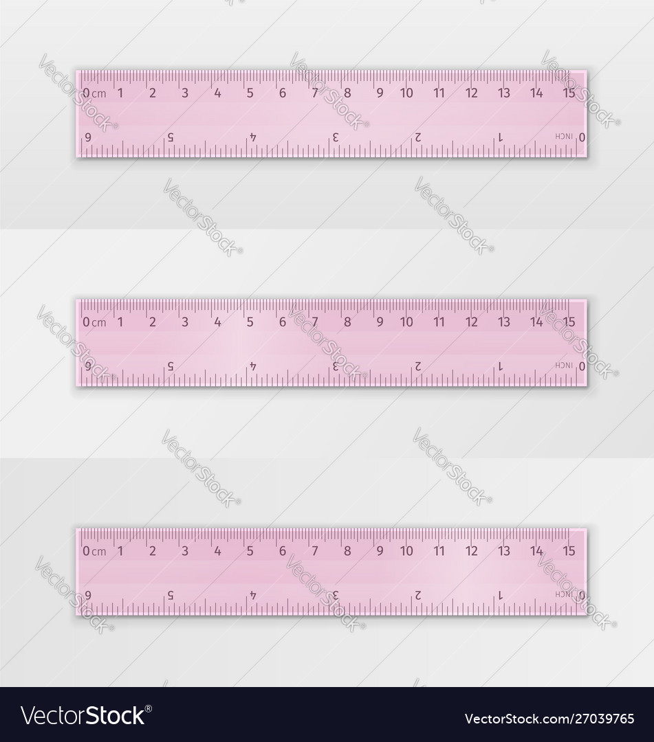 Set school measuring transparent plastic ruler vector image Set school measuring transparent plastic ruler