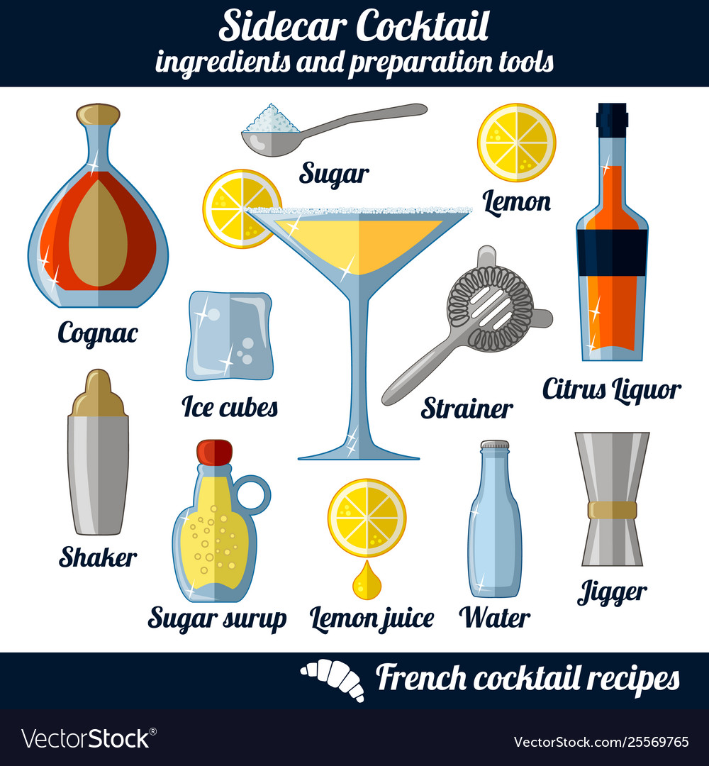 Sidecar cocktail infographic set isolated