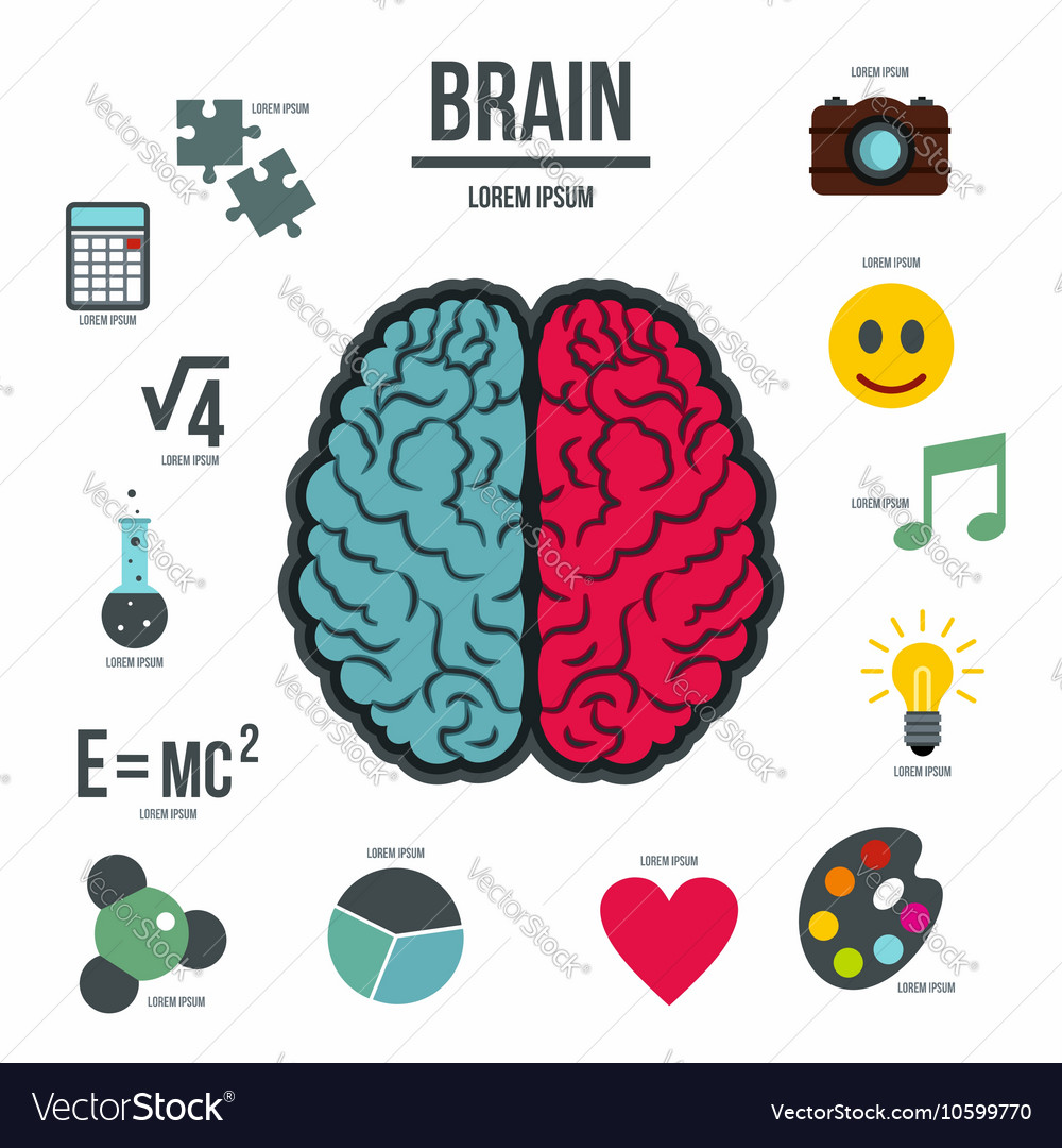 The Mechanics of the Brain (Infographic)