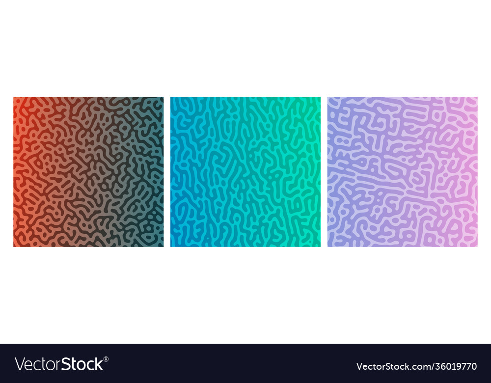Set three colorful turing reaction gradient bac vector image Set three colorful turing reaction gradient bac