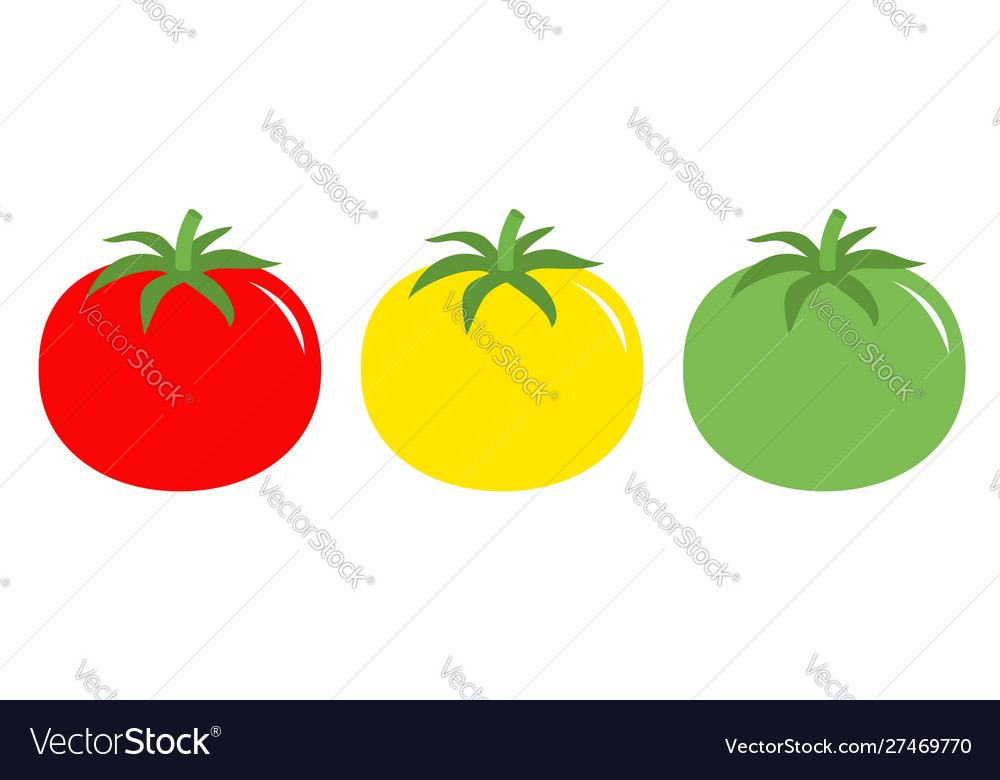 Tomato leaves icon set line red yellow green