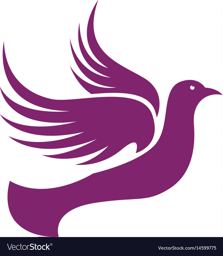 Bird wing dove logo template