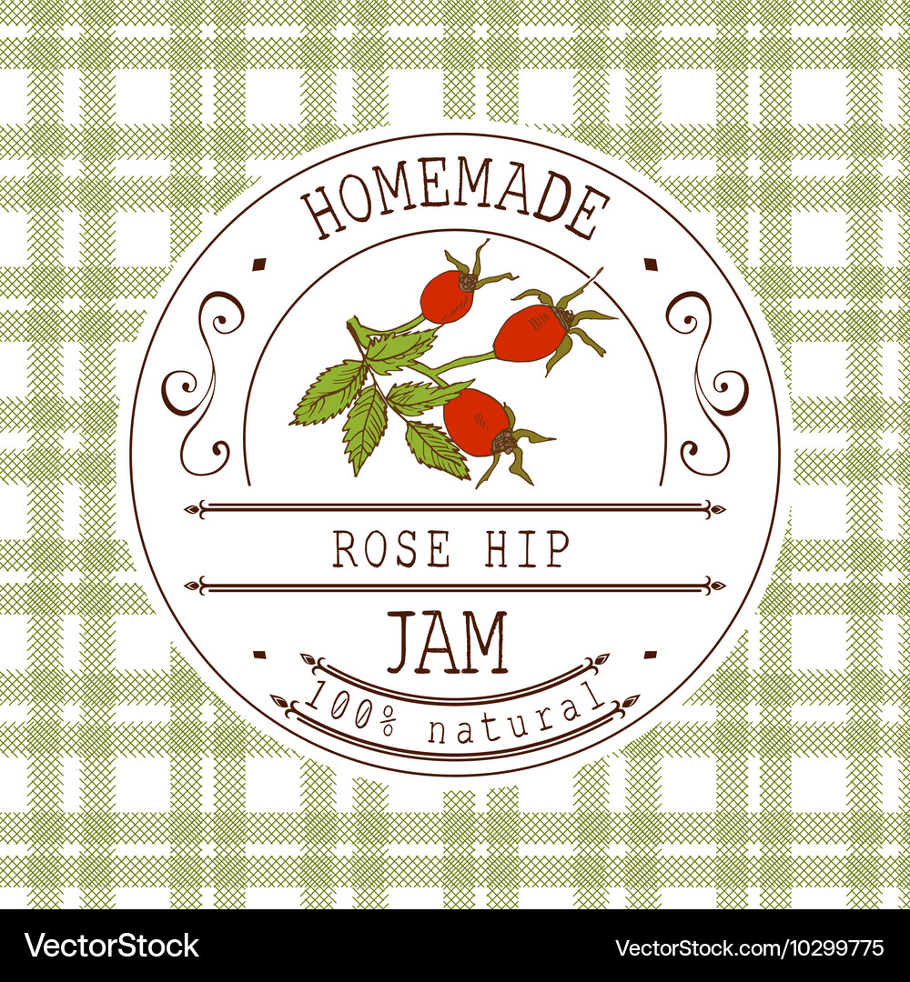 Jam label design template for Rose hip dessert Vector Image