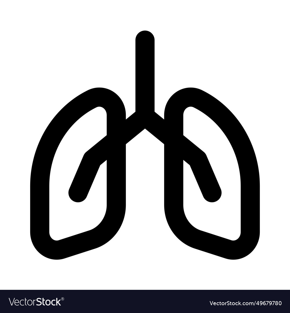 Lungs are a pair of spongy air-filled organs Vector Image