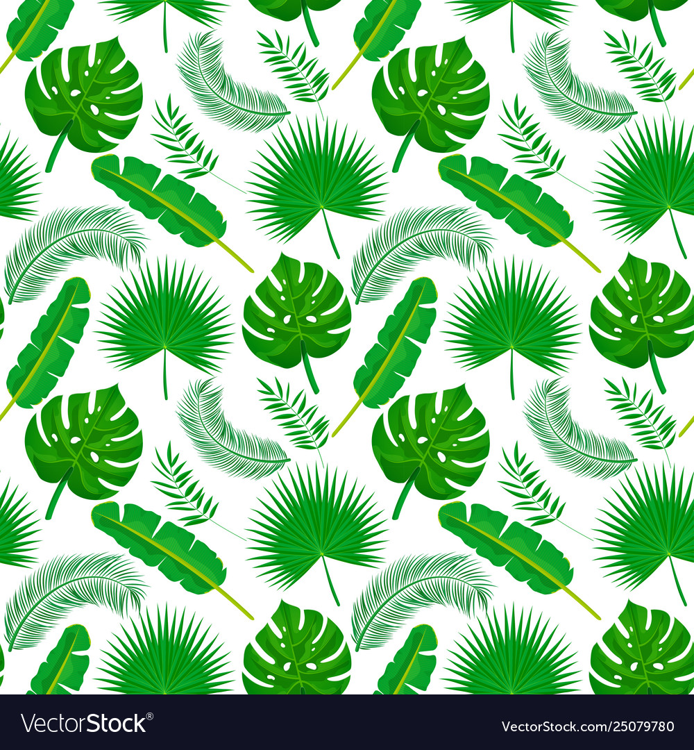 Palm leaves seamless pattern vector image Palm leaves seamless pattern