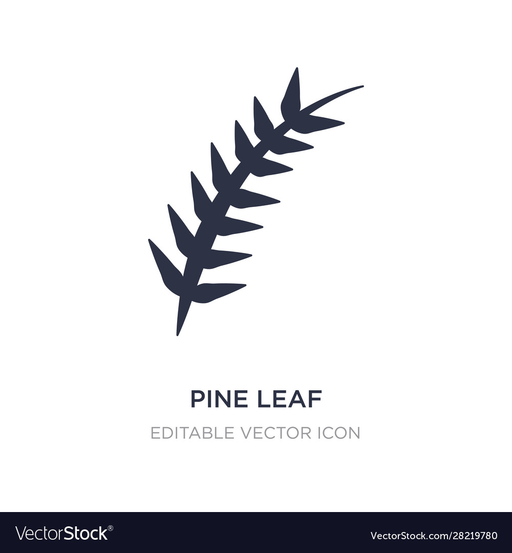 Pine leaf icon on white background simple element vector image Pine leaf icon on white background simple element