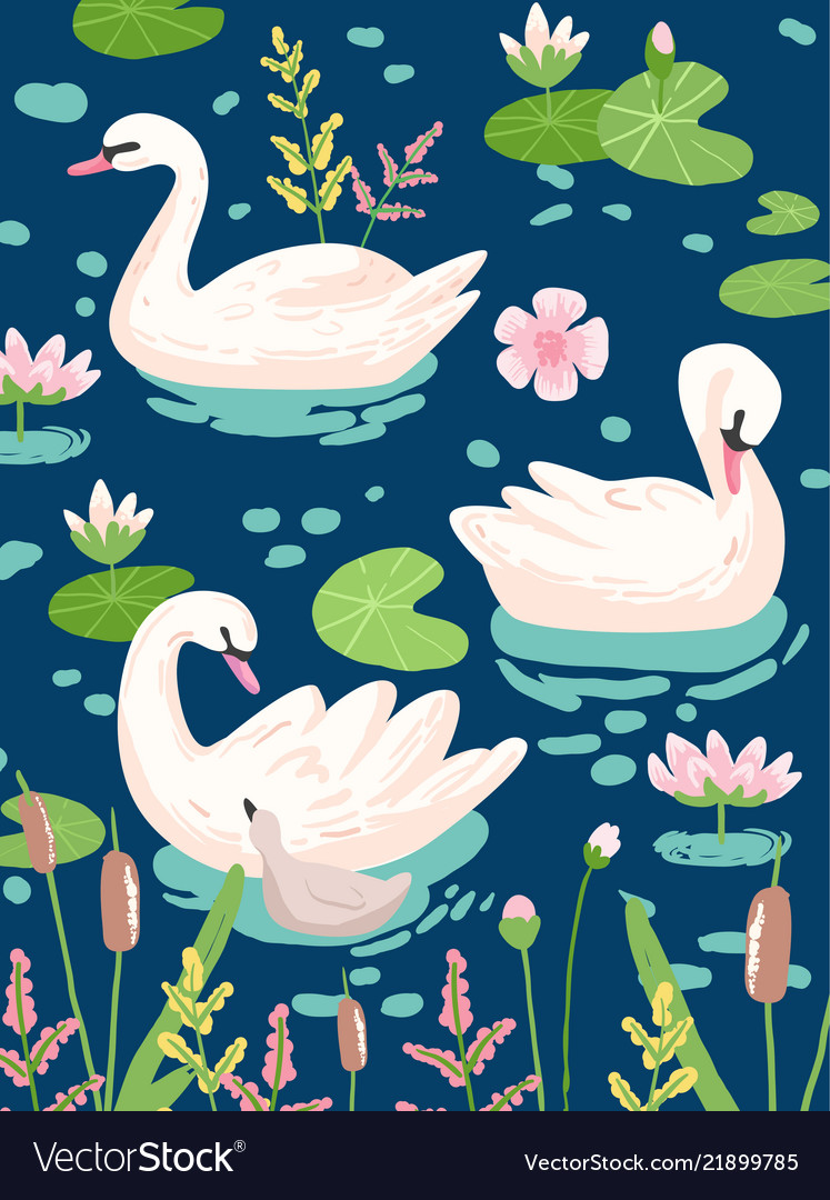 Beautiful swans with water lilies Royalty Free Vector Image