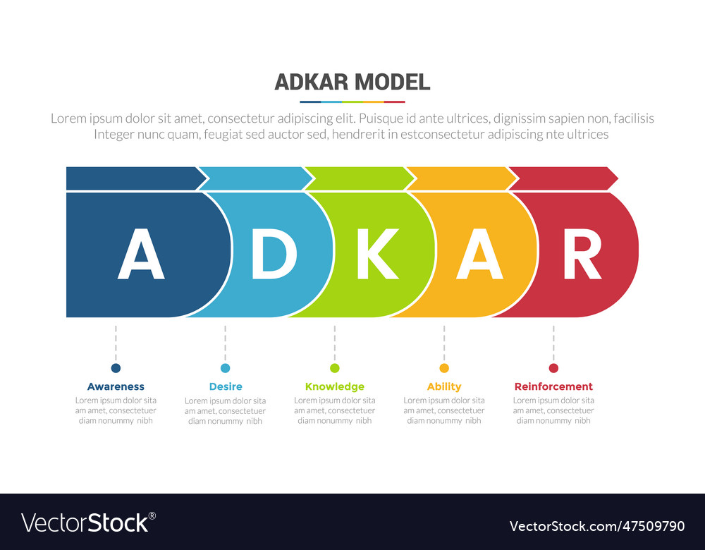 Adkar change management model stage infographics Vector Image