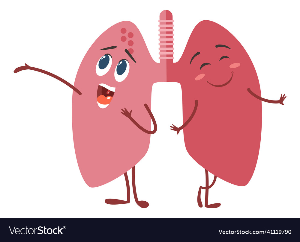 Human lungs in cute cartoon style kawaii Vector Image