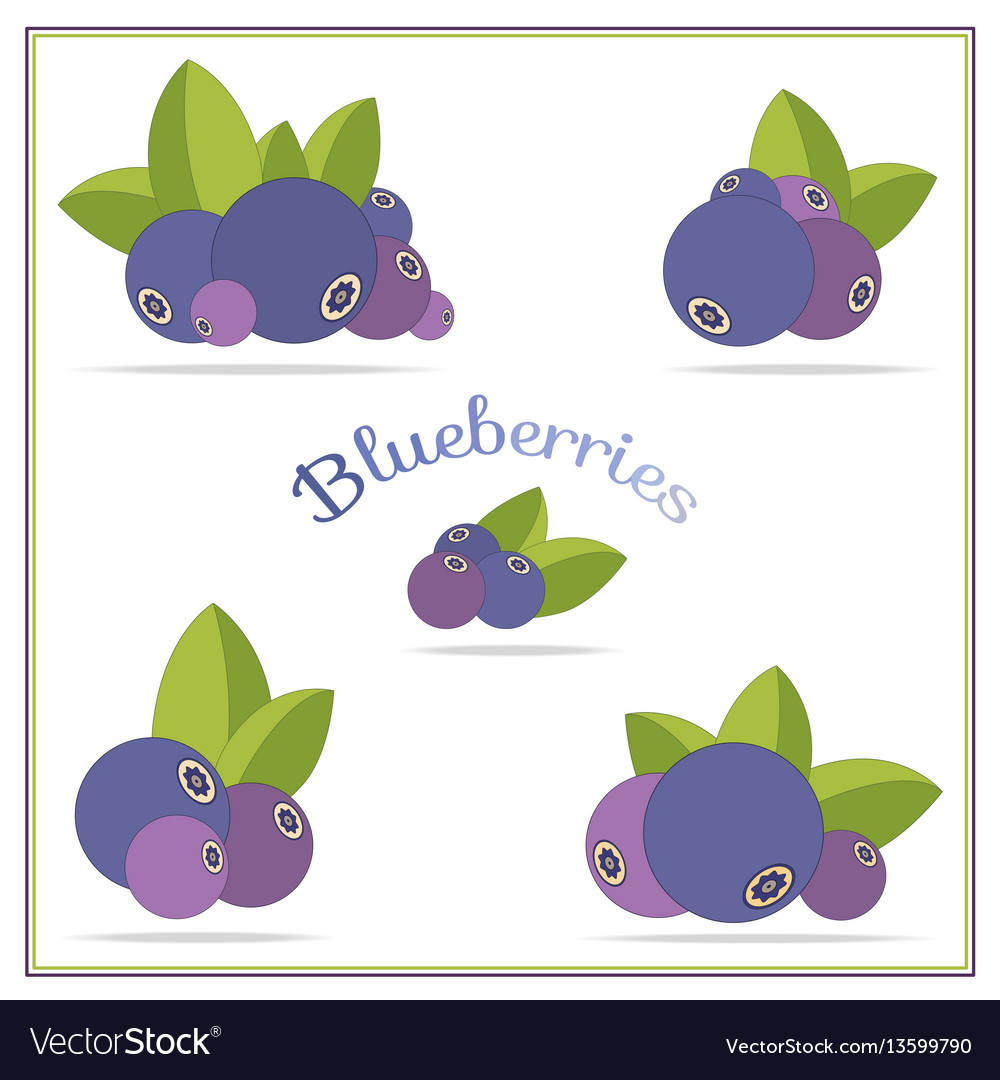 Set with blueberries icons isolated on white Vector Image