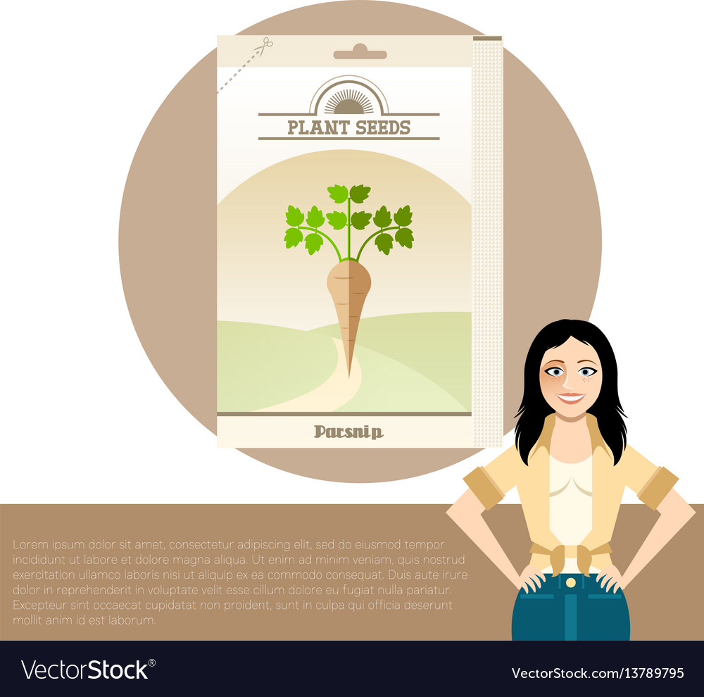 Pack of parsnip seeds icon vector image Pack of parsnip seeds icon