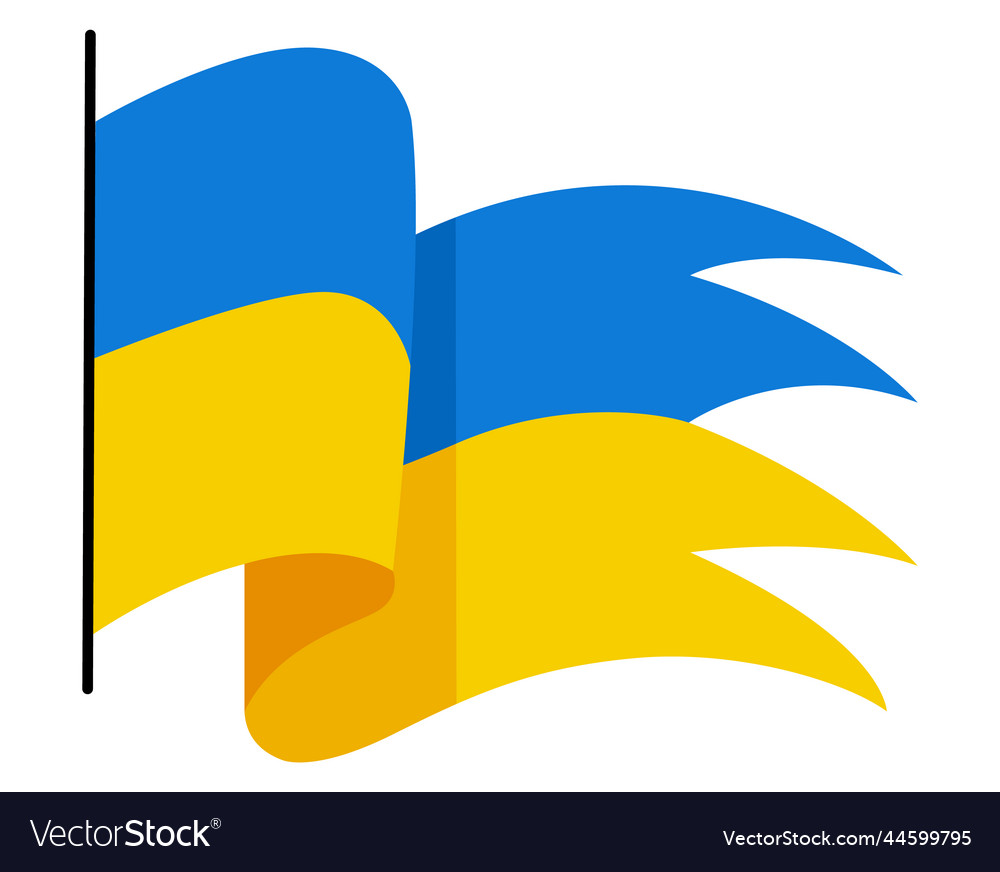 Ukrainian flag ukraine flag on white background Vector Image