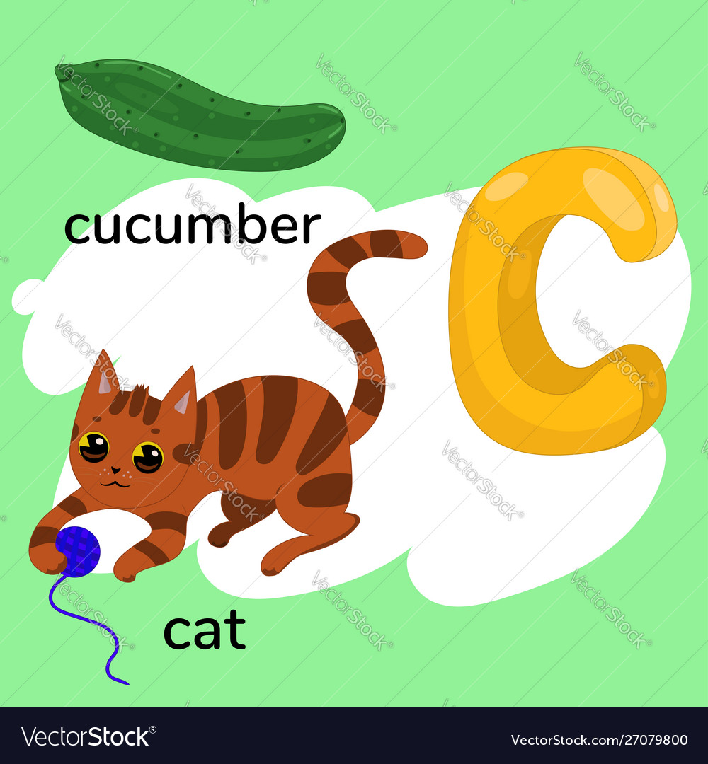 Letter c child alphabet graphics Royalty Free Vector Image