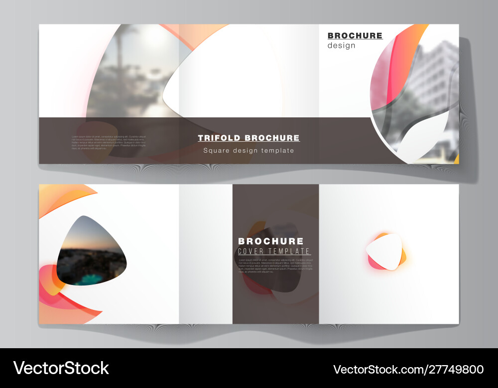 Minimal editable layout square Royalty Free Vector Image