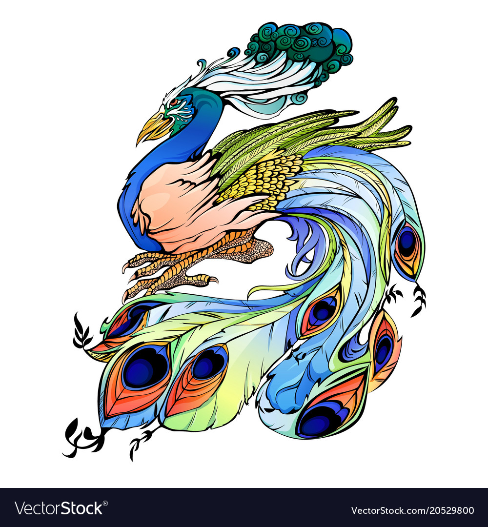 Peacock Royalty Free Vector Image - VectorStock