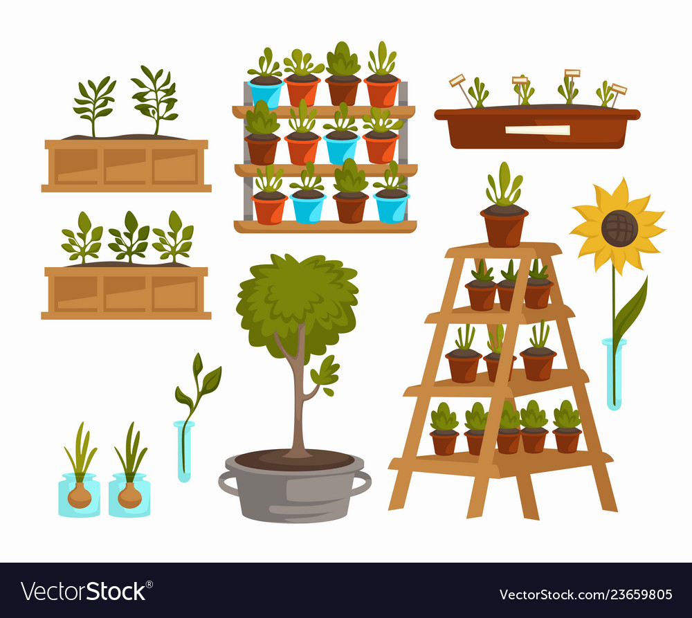 Planting vegetables and trees plants and flowers