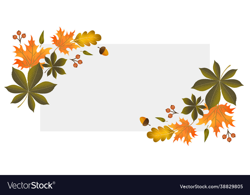 Realistic autumn foliage white background