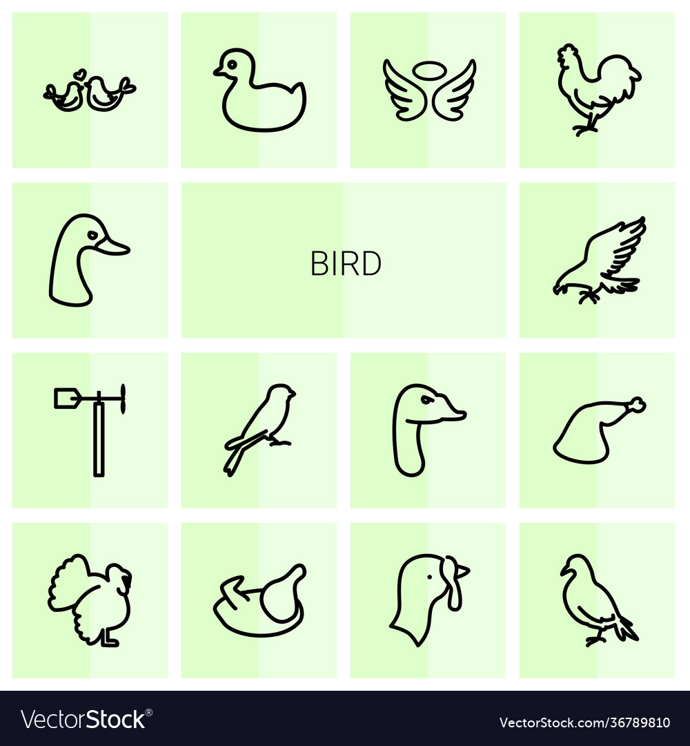 14 bird icons