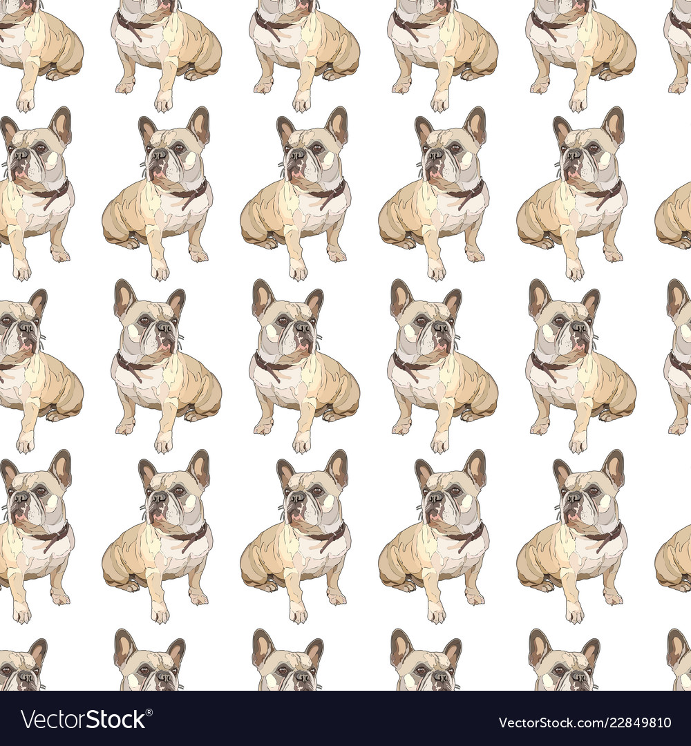 Seamless background with pugs Royalty Free Vector Image