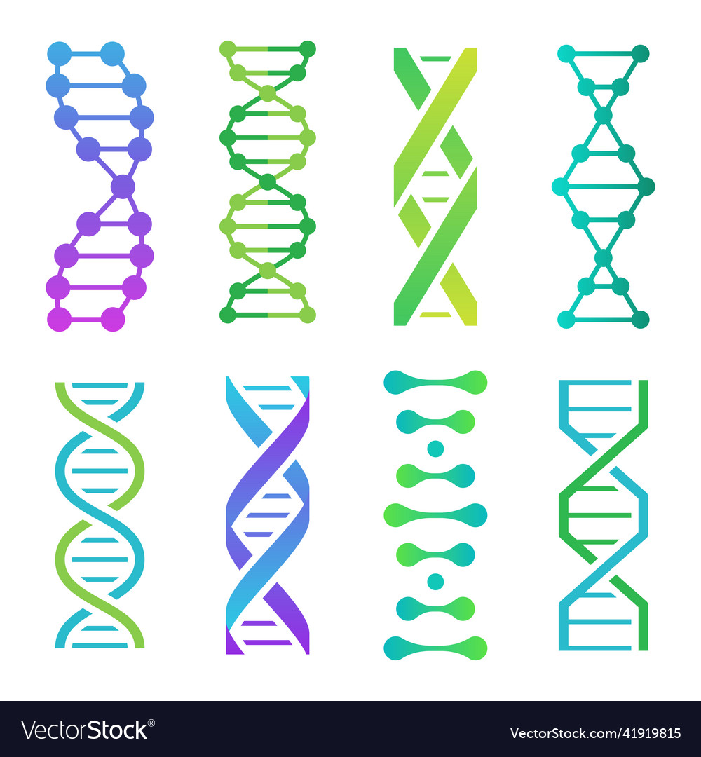 Colorful dna icons spiral molecule structure Vector Image