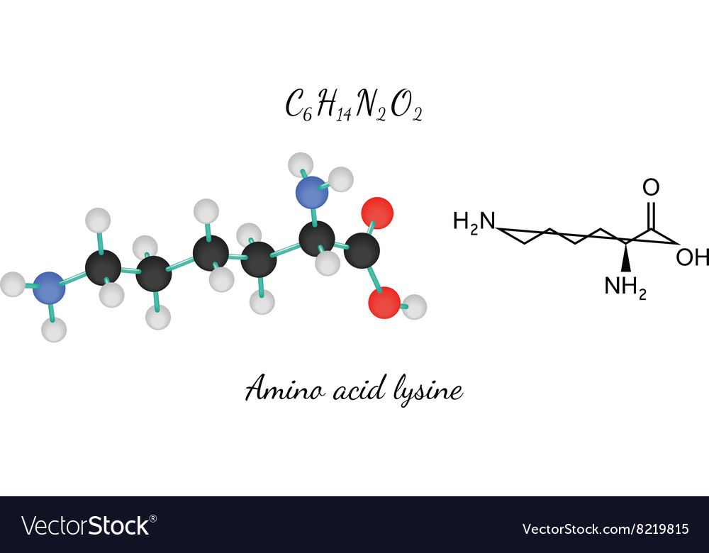 Lysine Molecule 3D Structure
