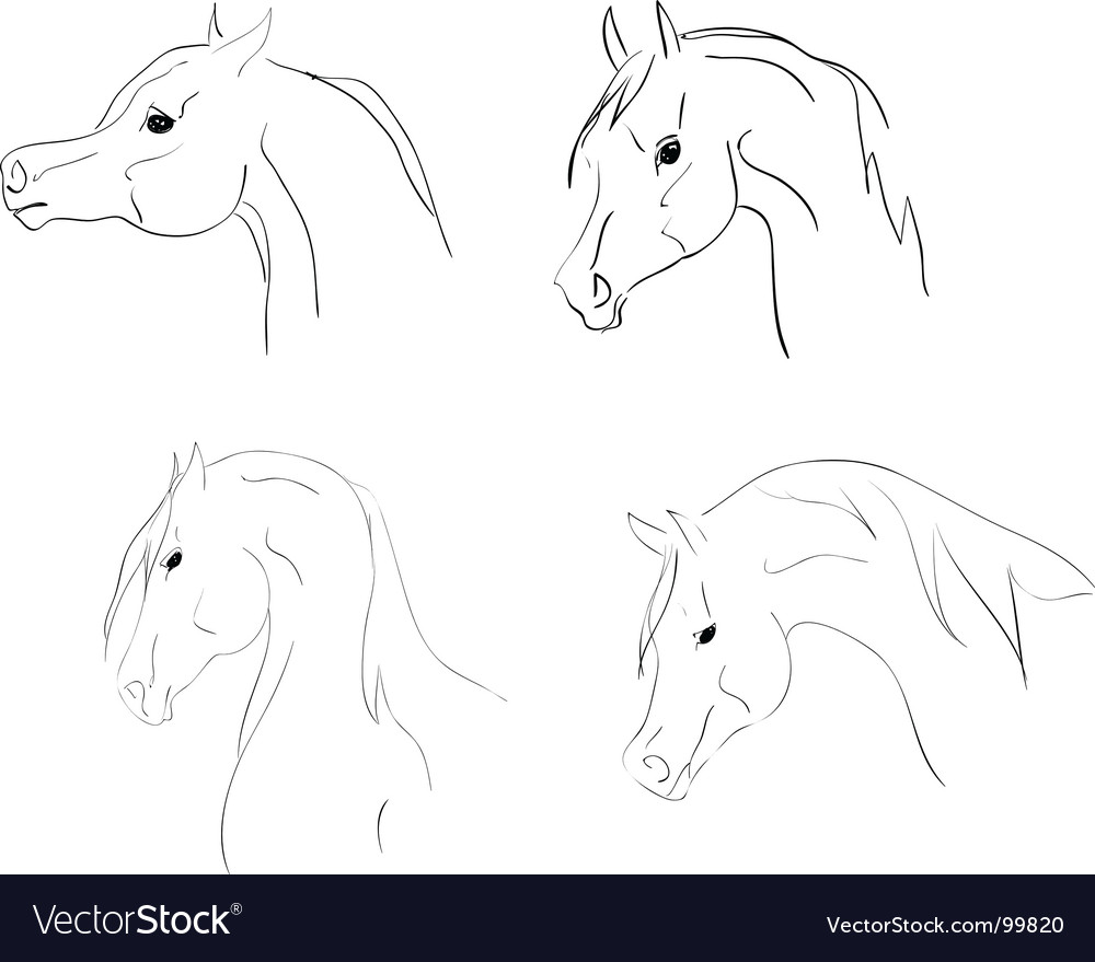 Arab heads sketch