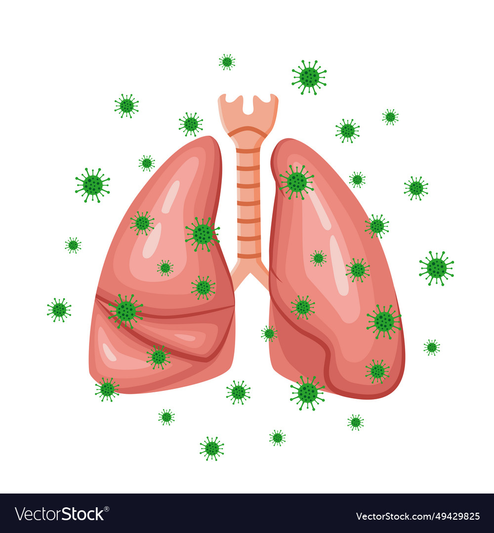 Drawing of lungs with viruses Royalty Free Vector Image