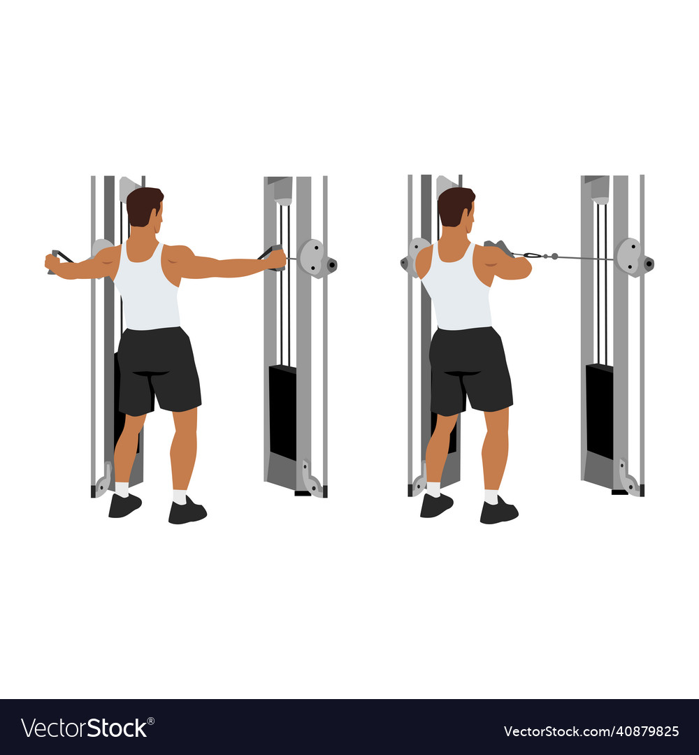 Man Doing Reverse Cable Flyes Exercise Royalty Free Vector 6928